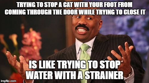 TRYING TO STOP A CAT WITH YOUR FOOT FROM COMING THROUGH THE DOOR WHILE TRYING TO CLOSE IT; IS LIKE TRYING TO STOP WATER WITH A STRAINER | image tagged in memes,steve harvey | made w/ Imgflip meme maker