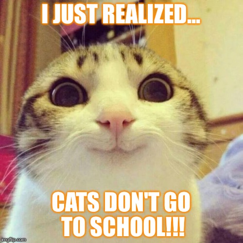 Smiling Cat Meme | I JUST REALIZED... CATS DON'T GO TO SCHOOL!!! | image tagged in memes,smiling cat | made w/ Imgflip meme maker