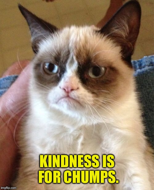 Grumpy Cat Meme | KINDNESS IS FOR CHUMPS. | image tagged in memes,grumpy cat | made w/ Imgflip meme maker
