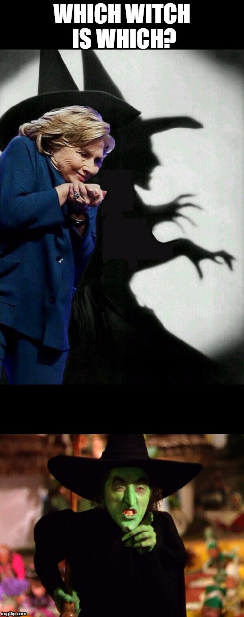 Which WHICH WITCH IS WHICH? image tagged in hillary clinton,wicked witch,me...