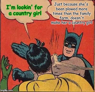 Batman Slapping Robin Meme | Just because she's been plowed more times than the family farm, doesn't make her a country girl; I'm lookin' for a country girl | image tagged in memes,batman slapping robin,country girls,down on the farm,farmers daughter | made w/ Imgflip meme maker