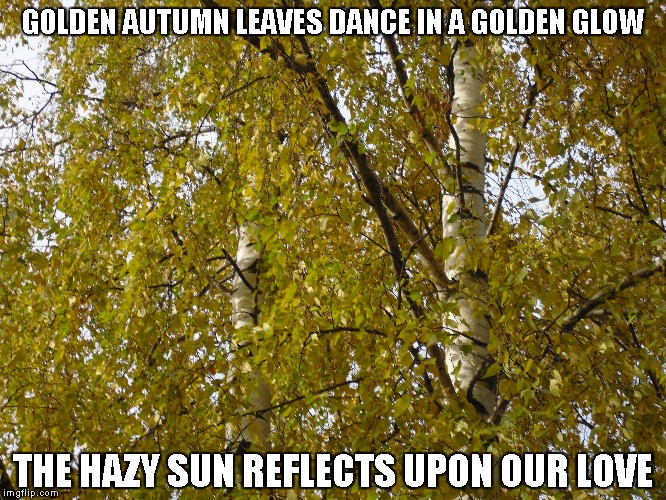 Golden Autumn Leaves | GOLDEN AUTUMN LEAVES DANCE IN A GOLDEN GLOW; THE HAZY SUN REFLECTS UPON OUR LOVE | image tagged in autumn leaves,hazy sun,love | made w/ Imgflip meme maker
