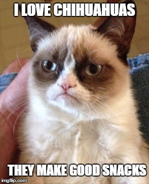grumpy cat 2 | I LOVE CHIHUAHUAS; THEY MAKE GOOD SNACKS | image tagged in grumpy cat 2 | made w/ Imgflip meme maker