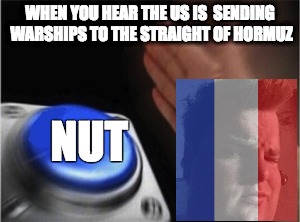 Blank Nut Button Meme | WHEN YOU HEAR THE US IS 
SENDING WARSHIPS TO THE STRAIGHT OF HORMUZ; NUT | image tagged in blank nut button | made w/ Imgflip meme maker