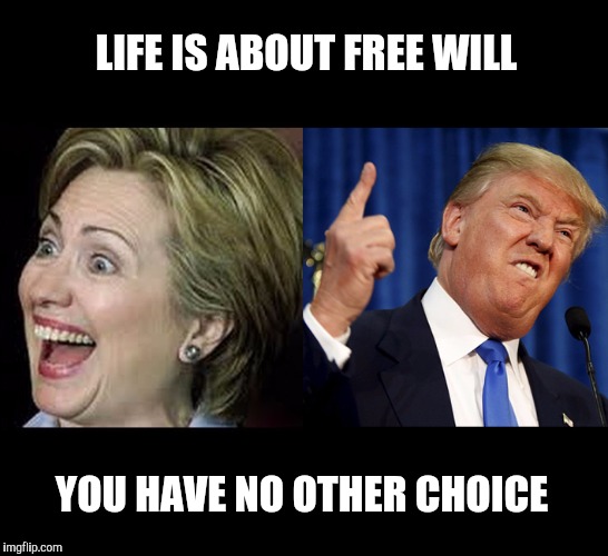 Take your pick  | LIFE IS ABOUT FREE WILL; YOU HAVE NO OTHER CHOICE | image tagged in your choice,free will,trump hillary,election2016,hillary trump,trump-hillary | made w/ Imgflip meme maker