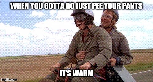 My Dumb contribution | WHEN YOU GOTTA GO JUST PEE YOUR PANTS; IT'S WARM | image tagged in pee,dumb and dumber,dumb post | made w/ Imgflip meme maker