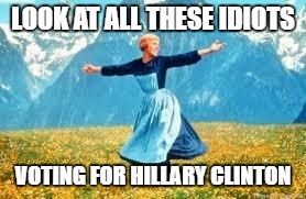 Look At All These Meme | LOOK AT ALL THESE IDIOTS; VOTING FOR HILLARY CLINTON | image tagged in memes,look at all these | made w/ Imgflip meme maker