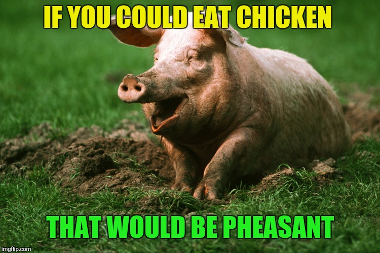 IF YOU COULD EAT CHICKEN THAT WOULD BE PHEASANT | made w/ Imgflip meme maker