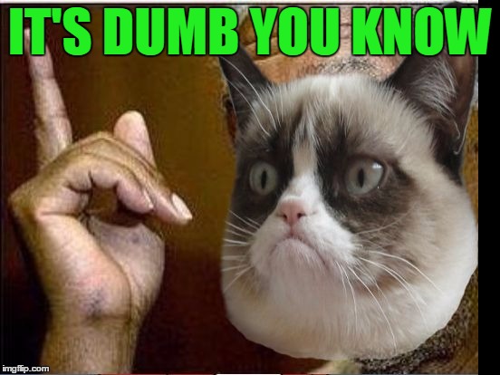 Grumpy Cat He's Right You Know | IT'S DUMB YOU KNOW | image tagged in grumpy cat he's right you know | made w/ Imgflip meme maker