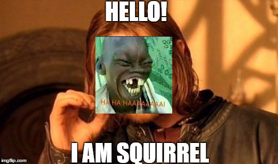One Does Not Simply | HELLO! I AM SQUIRREL | image tagged in memes,one does not simply | made w/ Imgflip meme maker