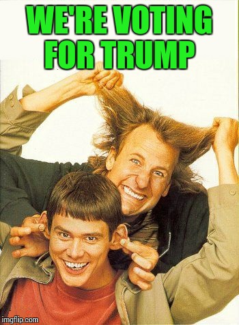 In honor of DUMB meme week  :-) | WE'RE VOTING FOR TRUMP | image tagged in dumb and dumber | made w/ Imgflip meme maker