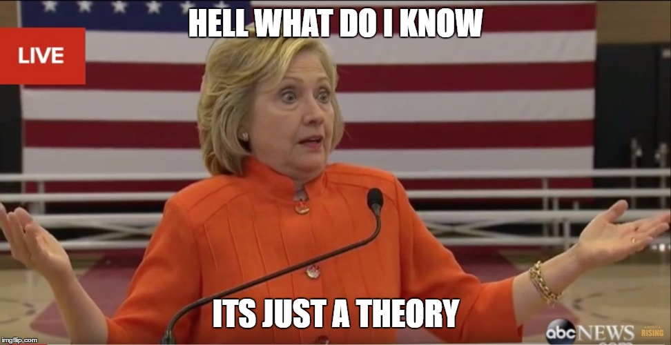 Hilary Clinton IDK | HELL WHAT DO I KNOW; ITS JUST A THEORY | image tagged in hilary clinton idk | made w/ Imgflip meme maker