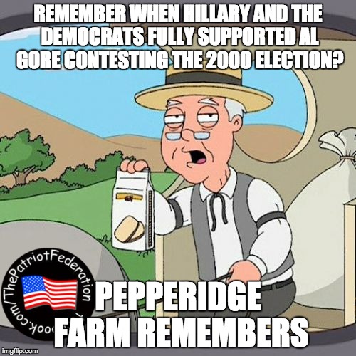 Pepperidge Farm Remembers Meme | REMEMBER WHEN HILLARY AND THE DEMOCRATS FULLY SUPPORTED AL GORE CONTESTING THE 2000 ELECTION? PEPPERIDGE FARM REMEMBERS | image tagged in memes,pepperidge farm remembers | made w/ Imgflip meme maker