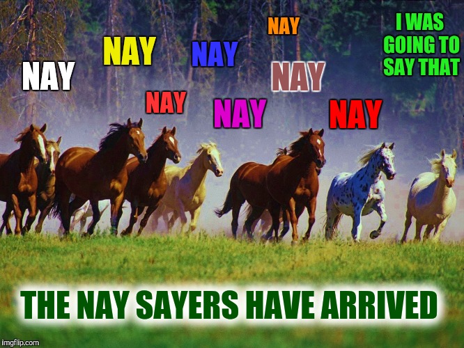 They think they're fun-nay, but they really have nay-thing to say | NAY; I WAS GOING TO SAY THAT; NAY; NAY; NAY; NAY; NAY; NAY; NAY; THE NAY SAYERS HAVE ARRIVED | image tagged in nay sayers,horses,pun,memes | made w/ Imgflip meme maker