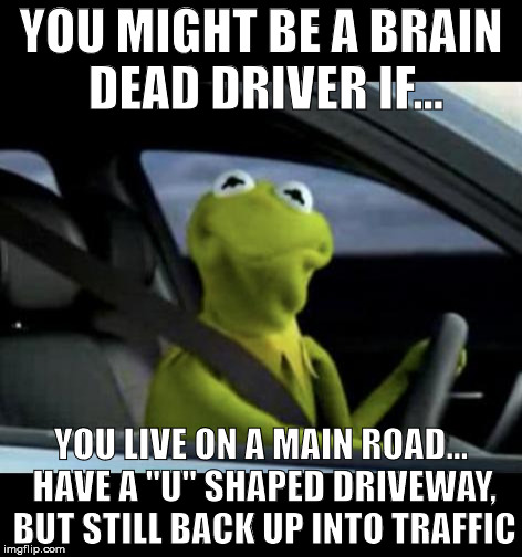 Kermit Driving | YOU MIGHT BE A BRAIN DEAD DRIVER IF... YOU LIVE ON A MAIN ROAD... HAVE A "U" SHAPED DRIVEWAY, BUT STILL BACK UP INTO TRAFFIC | image tagged in kermit driving | made w/ Imgflip meme maker
