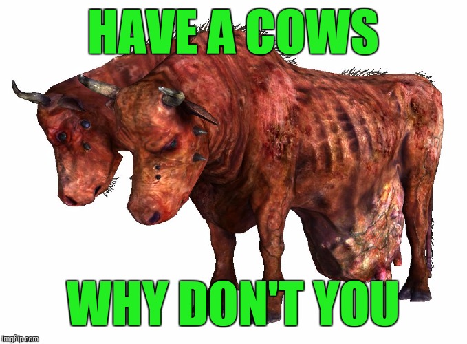 cowses | HAVE A COWS WHY DON'T YOU | image tagged in cowses | made w/ Imgflip meme maker