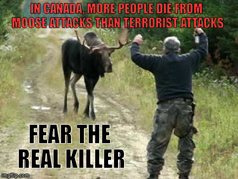 Be Afraid... | IN CANADA, MORE PEOPLE DIE FROM MOOSE ATTACKS THAN TERRORIST ATTACKS; FEAR THE REAL KILLER | image tagged in moose attack | made w/ Imgflip meme maker
