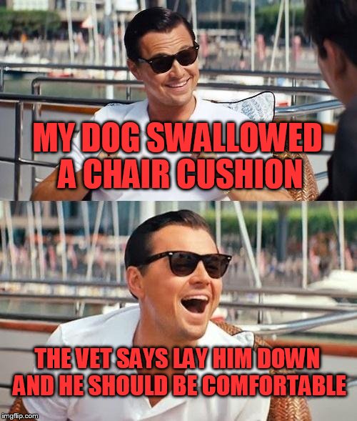 Leonardo Dicaprio Wolf Of Wall Street Meme | MY DOG SWALLOWED A CHAIR CUSHION; THE VET SAYS LAY HIM DOWN AND HE SHOULD BE COMFORTABLE | image tagged in memes,leonardo dicaprio wolf of wall street | made w/ Imgflip meme maker