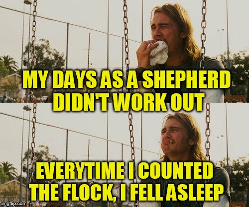 First World Stoner Problems | MY DAYS AS A SHEPHERD DIDN'T WORK OUT; EVERYTIME I COUNTED THE FLOCK, I FELL ASLEEP | image tagged in memes,first world stoner problems | made w/ Imgflip meme maker
