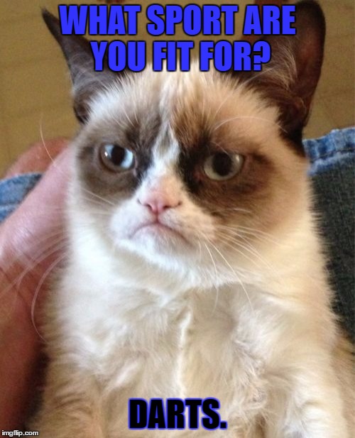 Grumpy Cat | WHAT SPORT ARE YOU FIT FOR? DARTS. | image tagged in memes,grumpy cat | made w/ Imgflip meme maker
