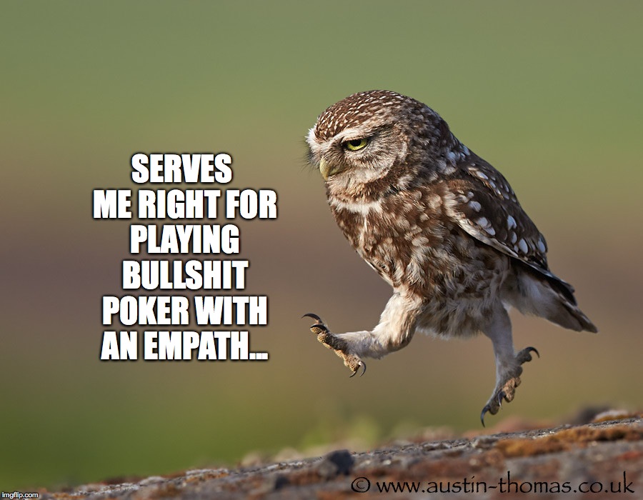 serves me right | SERVES ME RIGHT FOR PLAYING BULLSHIT POKER WITH AN EMPATH... | image tagged in allniter | made w/ Imgflip meme maker