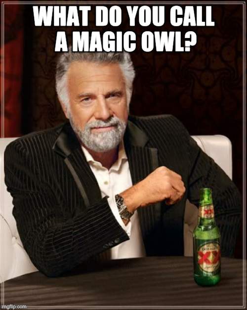 The Most Interesting Man In The World Meme | WHAT DO YOU CALL A MAGIC OWL? | image tagged in memes,the most interesting man in the world | made w/ Imgflip meme maker