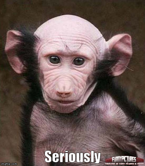 Bald monkey | Seriously | image tagged in seriously | made w/ Imgflip meme maker
