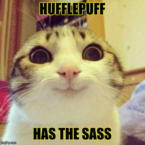 Smiling Cat Meme | HUFFLEPUFF; HAS THE SASS | image tagged in memes,smiling cat | made w/ Imgflip meme maker