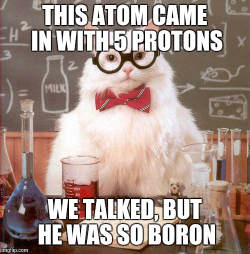 Science Cat | THIS ATOM CAME IN WITH 5 PROTONS; WE TALKED, BUT HE WAS SO BORON | image tagged in science cat | made w/ Imgflip meme maker