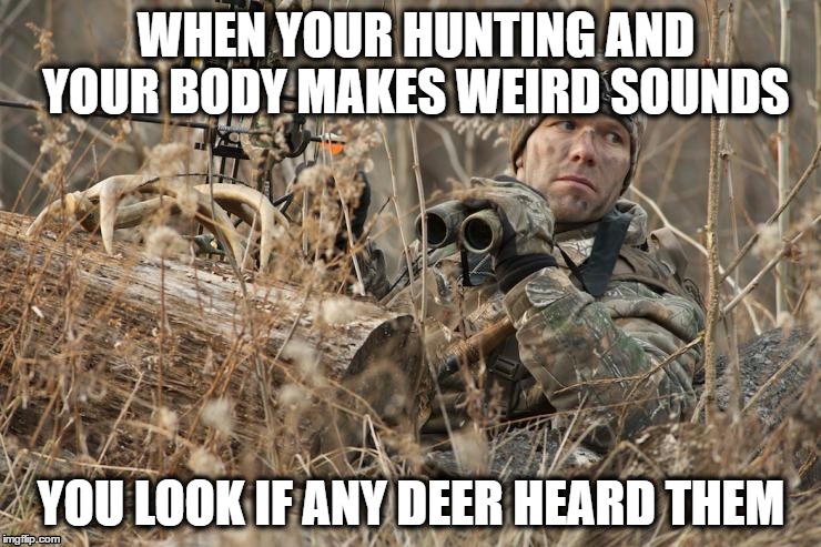 Weird noises | WHEN YOUR HUNTING AND YOUR BODY MAKES WEIRD SOUNDS; YOU LOOK IF ANY DEER HEARD THEM | image tagged in humor,hunting season,funny | made w/ Imgflip meme maker