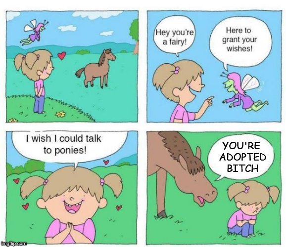Looks like Mrs. Penelope gets her heart broken early, and why you don't fucking wish for ponies! Seriously! What the fack?  | YOU'RE ADOPTED BITCH | image tagged in talk to ponies | made w/ Imgflip meme maker
