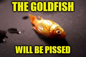 THE GOLDFISH WILL BE PISSED | made w/ Imgflip meme maker