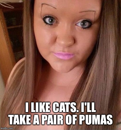 I LIKE CATS. I'LL TAKE A PAIR OF PUMAS | made w/ Imgflip meme maker