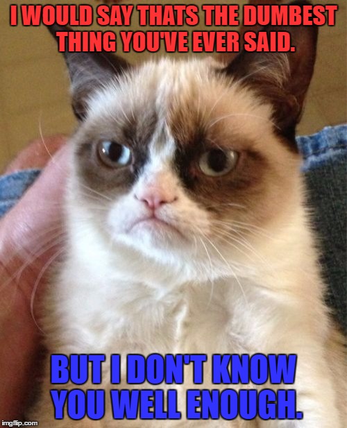 Grumpy Cat | I WOULD SAY THATS THE DUMBEST THING YOU'VE EVER SAID. BUT I DON'T KNOW YOU WELL ENOUGH. | image tagged in memes,grumpy cat | made w/ Imgflip meme maker