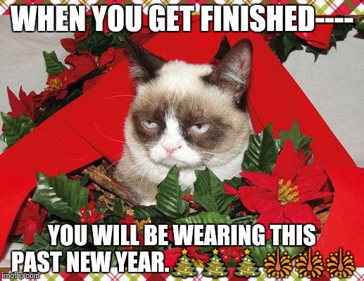 Grumpy Cat Mistletoe Meme | WHEN YOU GET FINISHED----; YOU WILL BE WEARING THIS PAST NEW YEAR.🎄🎄🎄🎇🎇🎇 | image tagged in memes,grumpy cat mistletoe,grumpy cat | made w/ Imgflip meme maker