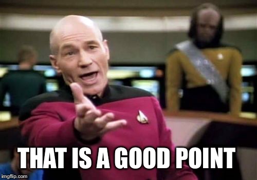 Picard Wtf Meme | THAT IS A GOOD POINT | image tagged in memes,picard wtf | made w/ Imgflip meme maker