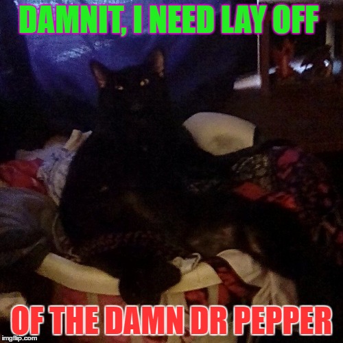 Dr. Pepper cat | DAMNIT, I NEED LAY OFF; OF THE DAMN DR PEPPER | image tagged in fat cat | made w/ Imgflip meme maker