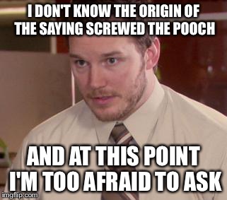 Afraid To Ask Andy (Closeup) Meme | I DON'T KNOW THE ORIGIN OF THE SAYING SCREWED THE POOCH; AND AT THIS POINT I'M TOO AFRAID TO ASK | image tagged in memes,afraid to ask andy closeup | made w/ Imgflip meme maker