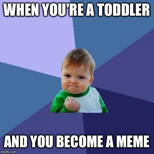 Success Kid Meme | WHEN YOU'RE A TODDLER; AND YOU BECOME A MEME | image tagged in memes,success kid | made w/ Imgflip meme maker