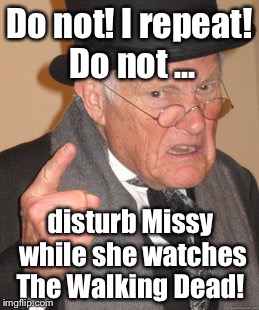 Please don't disturb a TWD fan!  | Do not! I repeat! Do not ... disturb Missy while she watches The Walking Dead! | image tagged in memes,back in my day | made w/ Imgflip meme maker