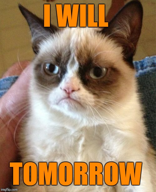 Grumpy Cat Meme | I WILL TOMORROW | image tagged in memes,grumpy cat | made w/ Imgflip meme maker