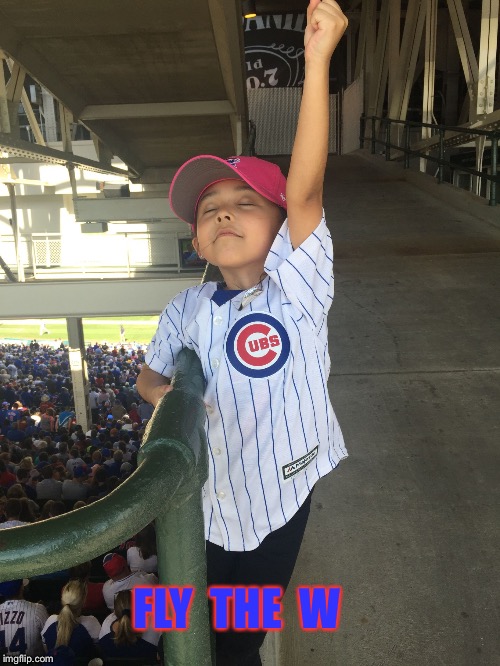 Cubs fan | FLY  THE  W | image tagged in cubs fan | made w/ Imgflip meme maker