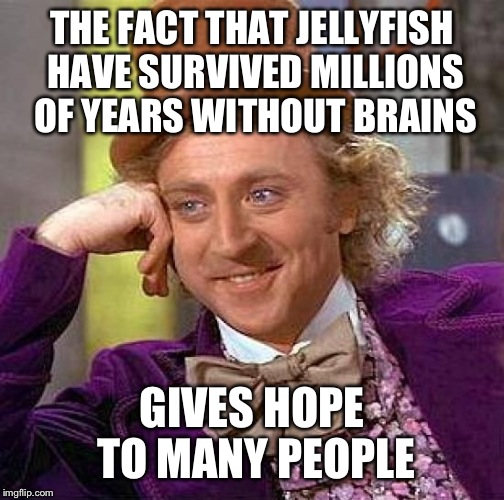 There's still hope! | THE FACT THAT JELLYFISH HAVE SURVIVED MILLIONS OF YEARS WITHOUT BRAINS; GIVES HOPE TO MANY PEOPLE | image tagged in memes,creepy condescending wonka | made w/ Imgflip meme maker