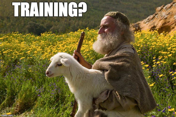 TRAINING? | made w/ Imgflip meme maker