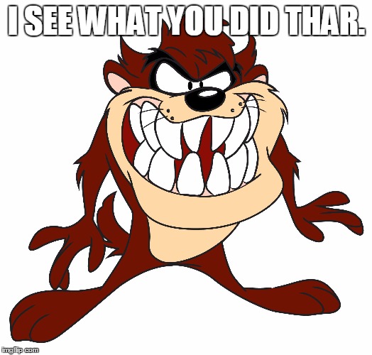 I SEE WHAT YOU DID THAR. | made w/ Imgflip meme maker