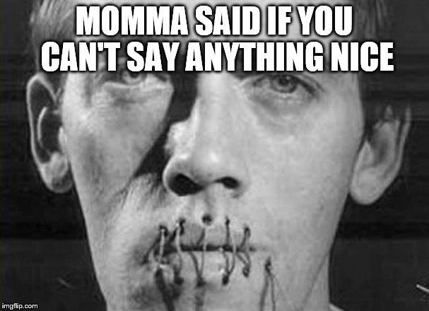 MOMMA SAID IF YOU CAN'T SAY ANYTHING NICE | made w/ Imgflip meme maker