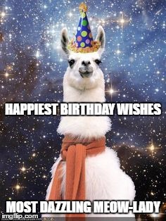 Happy Birthday Alpaca | HAPPIEST BIRTHDAY WISHES; MOST DAZZLING MEOW-LADY | image tagged in happy birthday alpaca | made w/ Imgflip meme maker