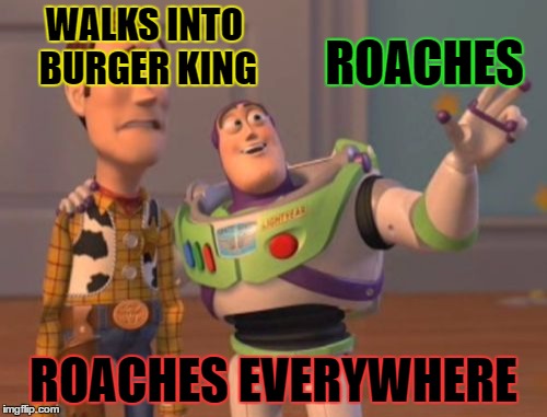 they are everywhere
 | WALKS INTO BURGER KING; ROACHES; ROACHES EVERYWHERE | image tagged in memes,x x everywhere | made w/ Imgflip meme maker