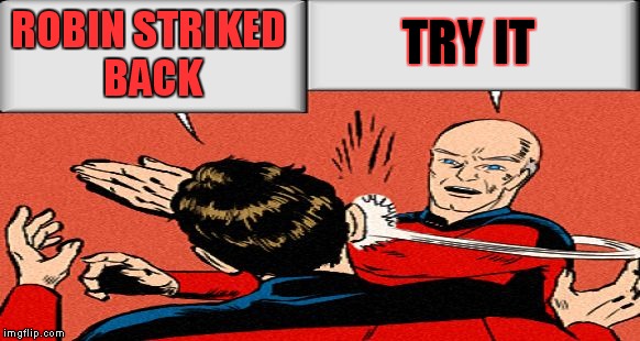 picard slap | ROBIN STRIKED BACK TRY IT | image tagged in picard slap | made w/ Imgflip meme maker