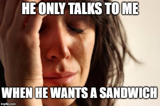 First World Problems Meme | HE ONLY TALKS TO ME WHEN HE WANTS A SANDWICH | image tagged in memes,first world problems | made w/ Imgflip meme maker